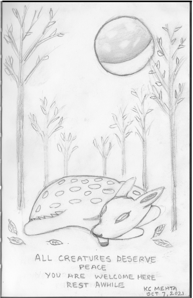 Fawn-at-Peace.png